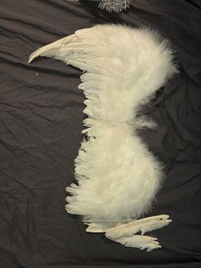 KidaWhite Feather Angel Wings Costume Accessory With Halo (See Photos For Flaws)